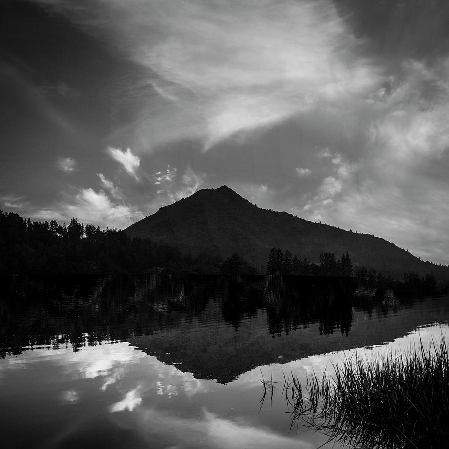 Mt. Tamalpais from Corte Madera Creek Photograph by Donald Kinney