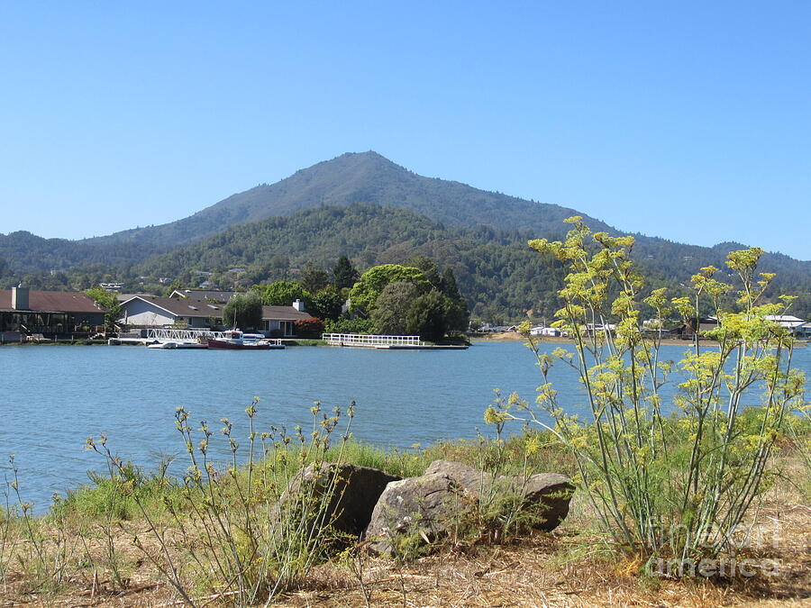 Mt Tamalpais Greenbrae Marin County California Photograph by Mhana ...