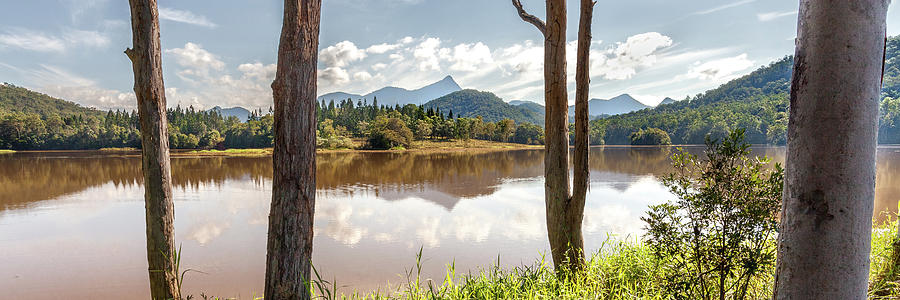 Mt Warning From Crabbes Creek Photograph by David Wilkins