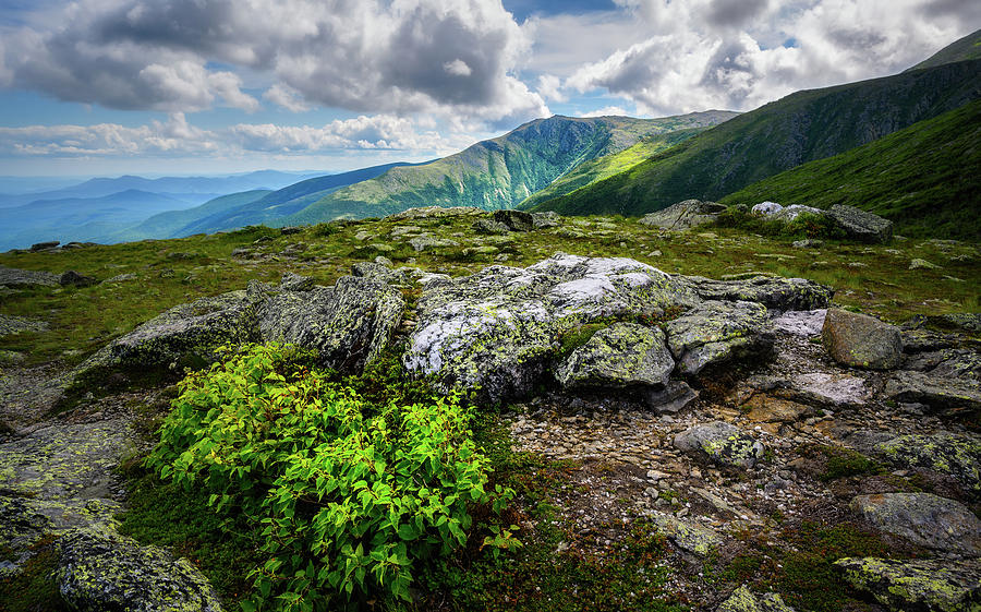 Mt. Washington Greens, NH Photograph by Michael Hubley
