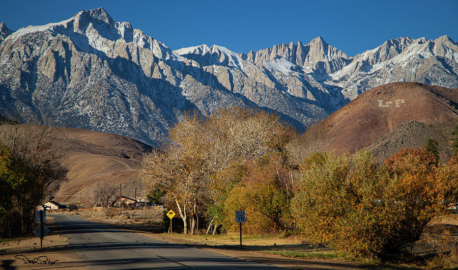 Mt. Whitney from Lone Pine Photograph by David Salter
