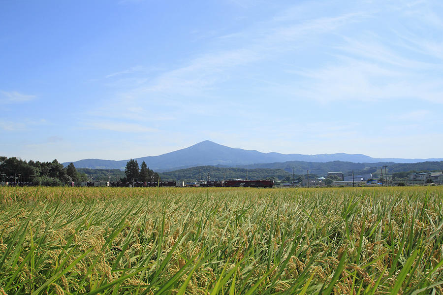 Mt.Himekami and Landscape of rice field Photograph by Yankane