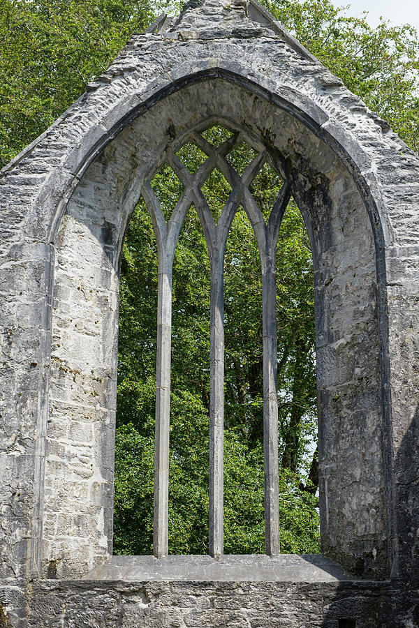 Muckross Abbey Photograph by David L Moore