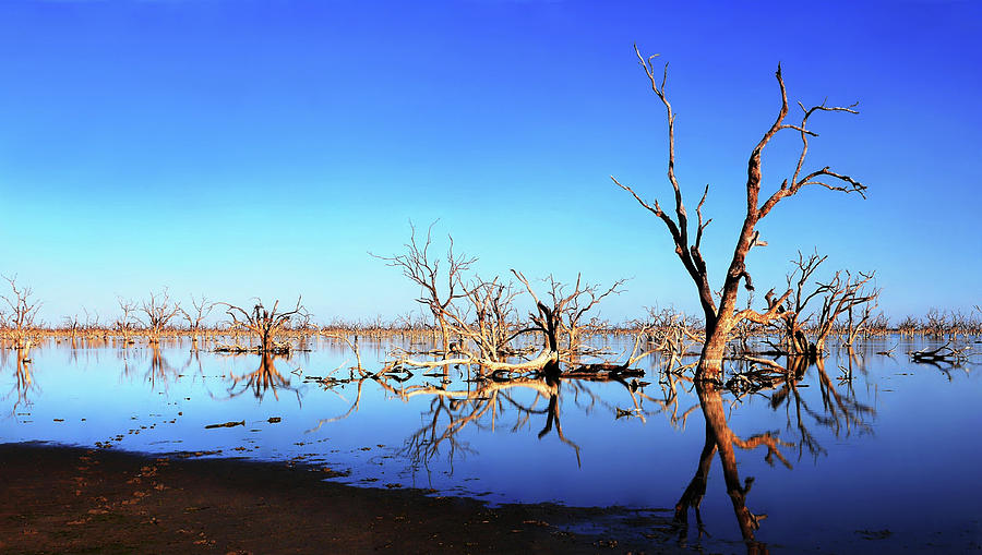Mud Flats of Pamamaroo Lake Photograph by Lexa Harpell