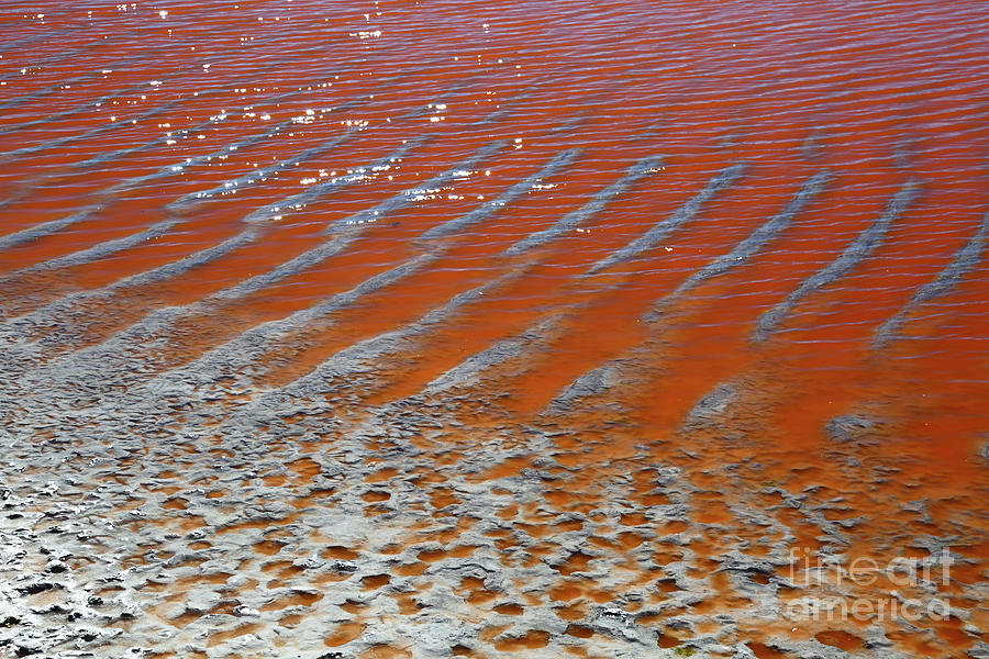 Mud Ripple Patterns The Red Lagoon Bolivia Photograph by James Brunker