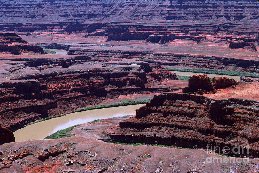 Muddy Colorado River Through Canyonlands National Park Photograph By Wernher Krutein Fine Art