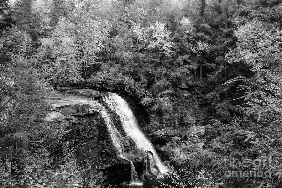 Muddy Creek Falls Monochrome Photograph by SCB Captures