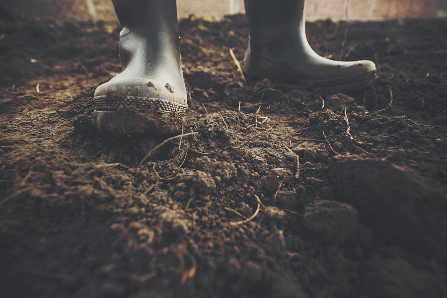 Muddy gardening boots Photograph by LukaTDB
