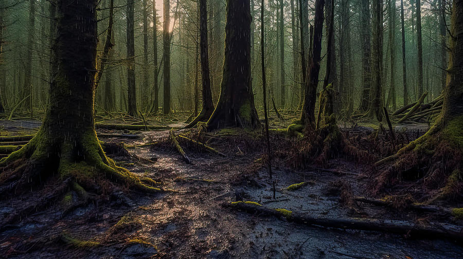Muddy Twilight Photograph by Bill Posner