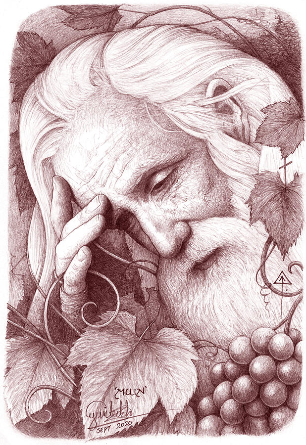 The Long Sleep of Aengus Og Drawing by Yuri Leitch