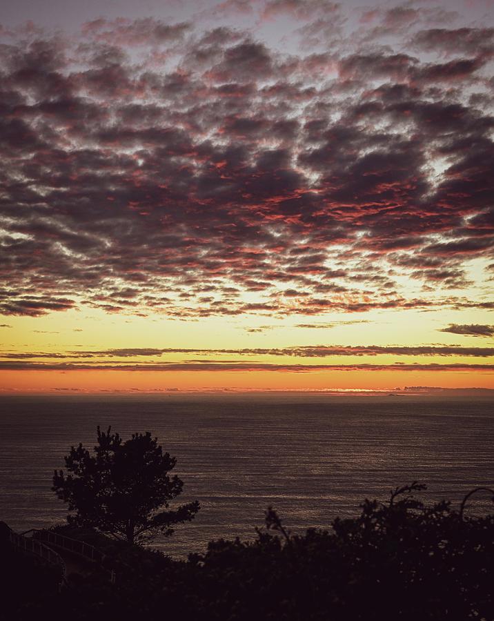 Muir Beach Sunset Photograph by Matt MacMillan