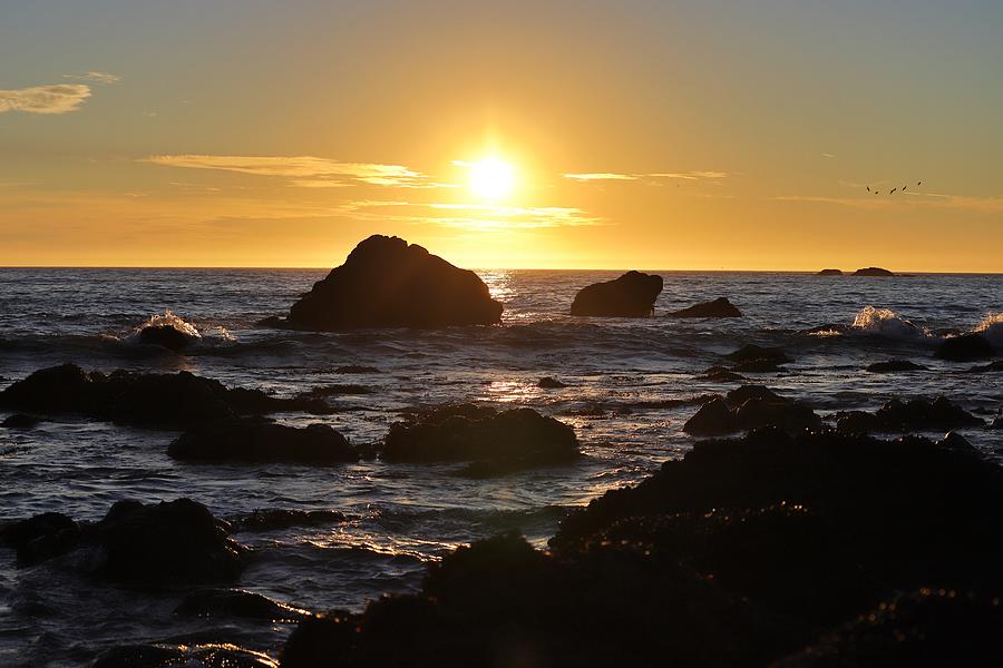 Muir Beach Sunset Photograph by Nicholas Miller Fine Art America