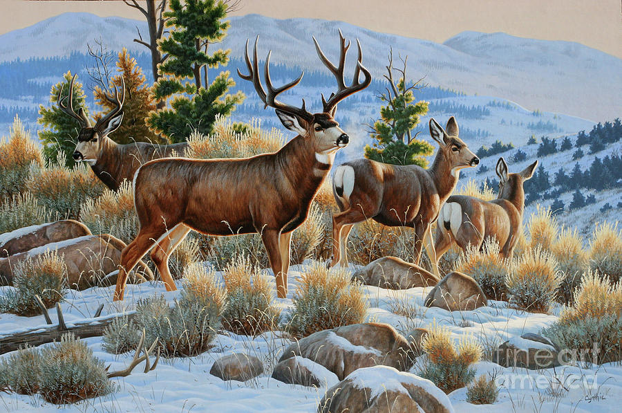 Mule Deer And Snow Painting by Cynthie Fisher