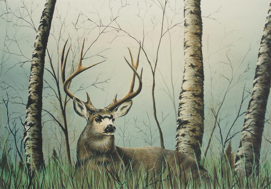 Mule Deer Painting by Anthony J Padgett