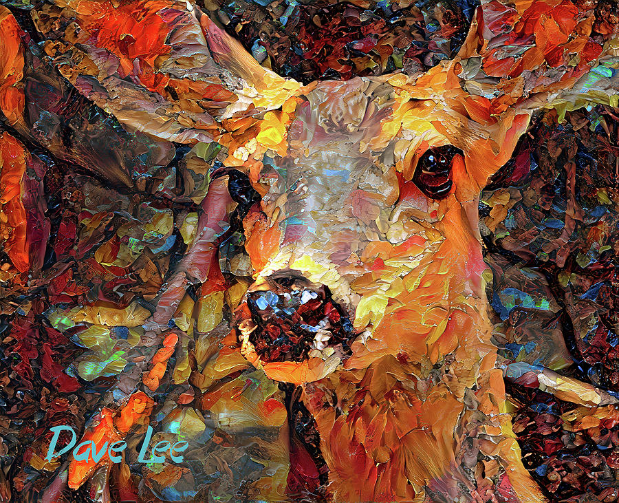 Mule Deer Delight Digital Art by Dave Lee