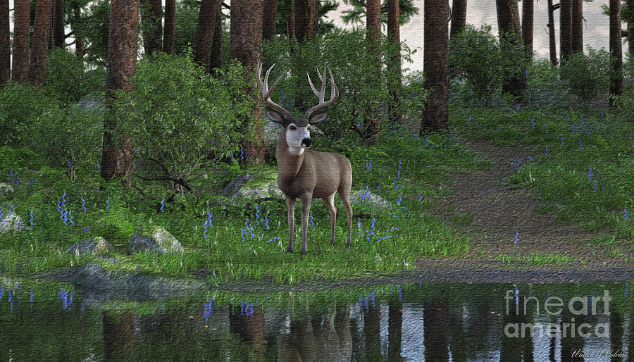 Mule Deer Lake Digital Art by Walter Colvin