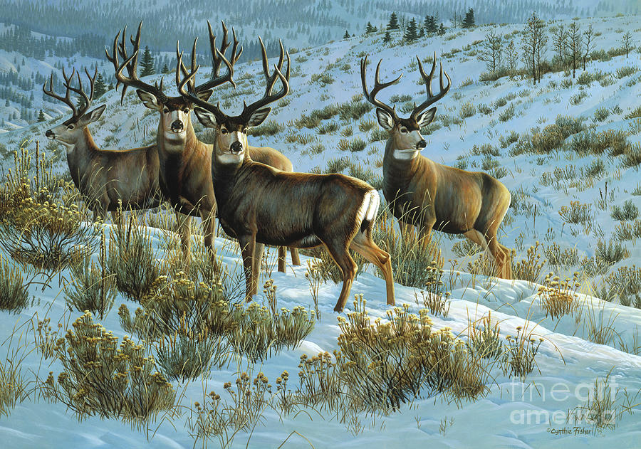 Mule Deer - Members Only Painting by Cynthie Fisher - Fine Art America