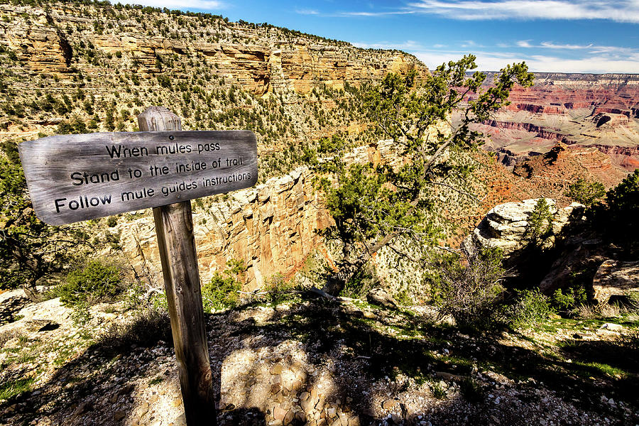 Mule train sign on Bright Angel Trail Photograph by Craig A Walker