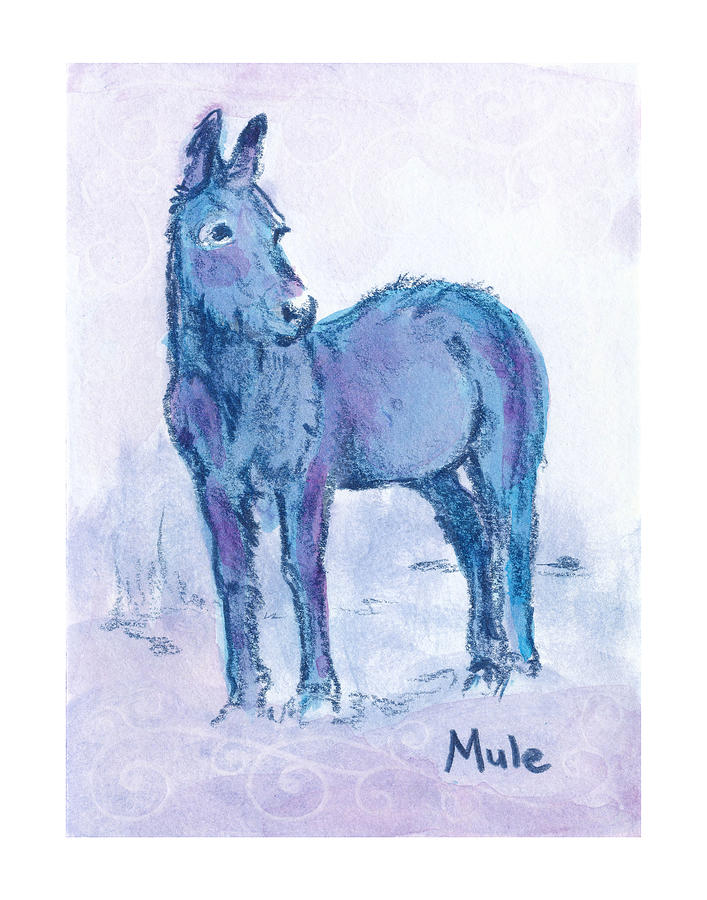 Mule Zooly 2019 Drawing