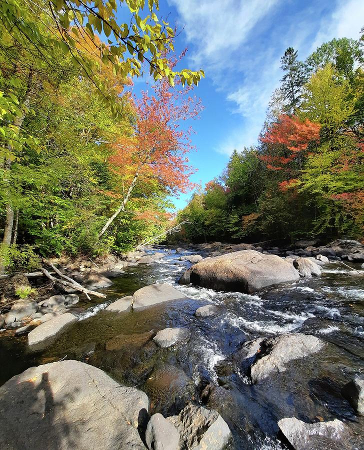 Mulets river Photograph by Cendrine Rodrigues - Fine Art America