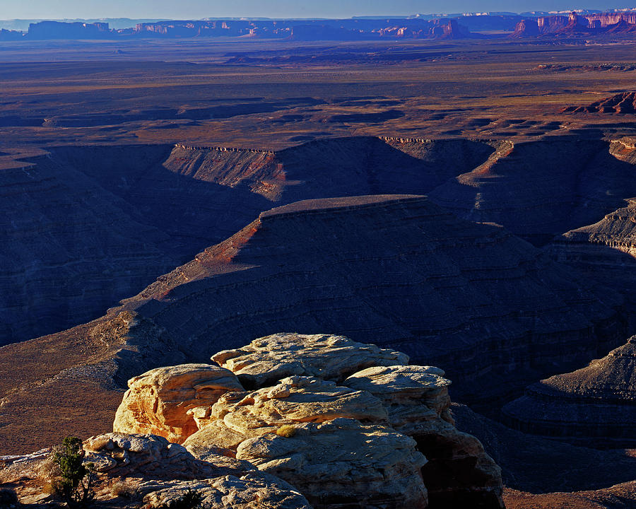 Muley Point Contrast Photograph by Tom Daniel