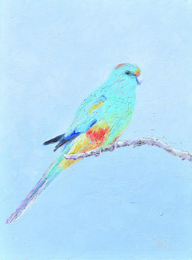 Mulga Parrot - native Australian bird Painting by Jan Matson