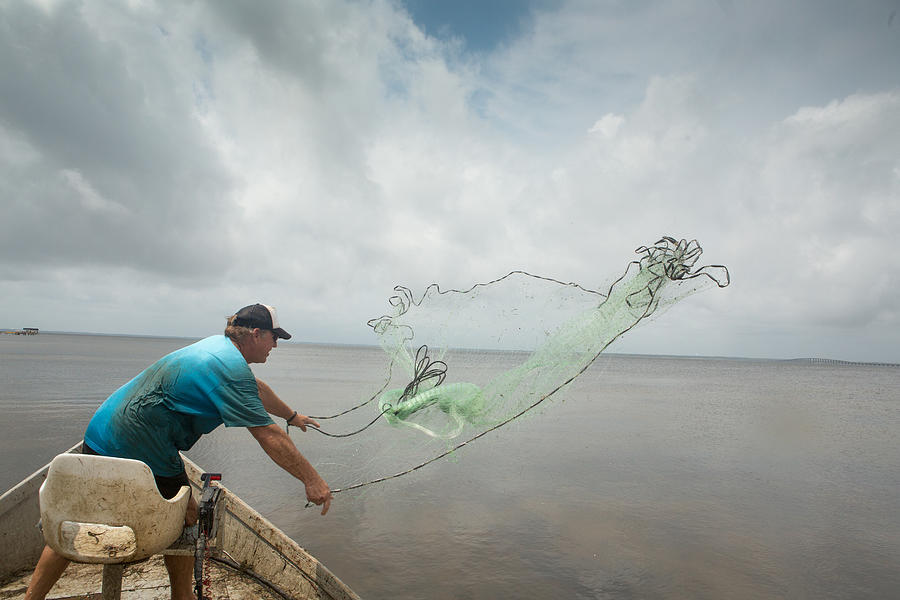 Mullet Fisherman Throwing a Cast Net Photograph by Sean Murphy