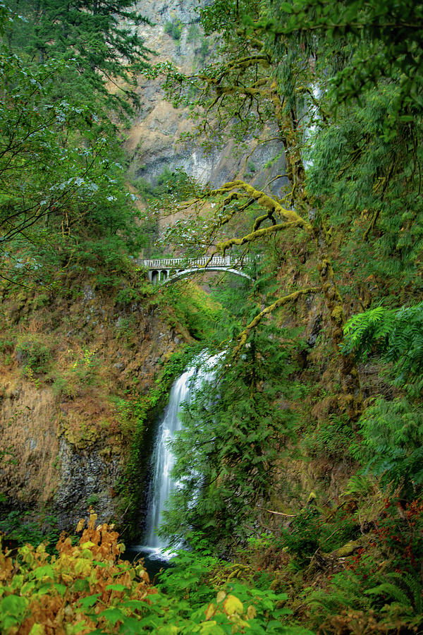 Mulnomah Falls, Oregon 10 Photograph by Cindy Robinson