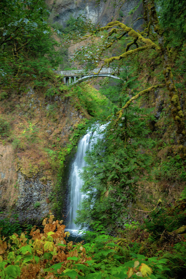 Mulnomah Falls, Oregon 4 Photograph by Cindy Robinson