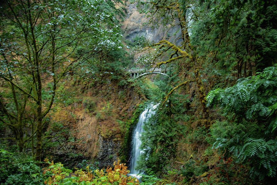 Mulnomah Falls, Oregon 9 Photograph by Cindy Robinson