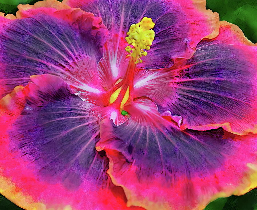 Multi-Color Hibiscus Painting by Russ Harris