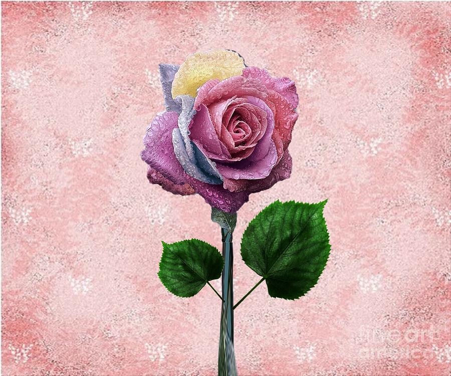 Multi-color Rose Digital Art