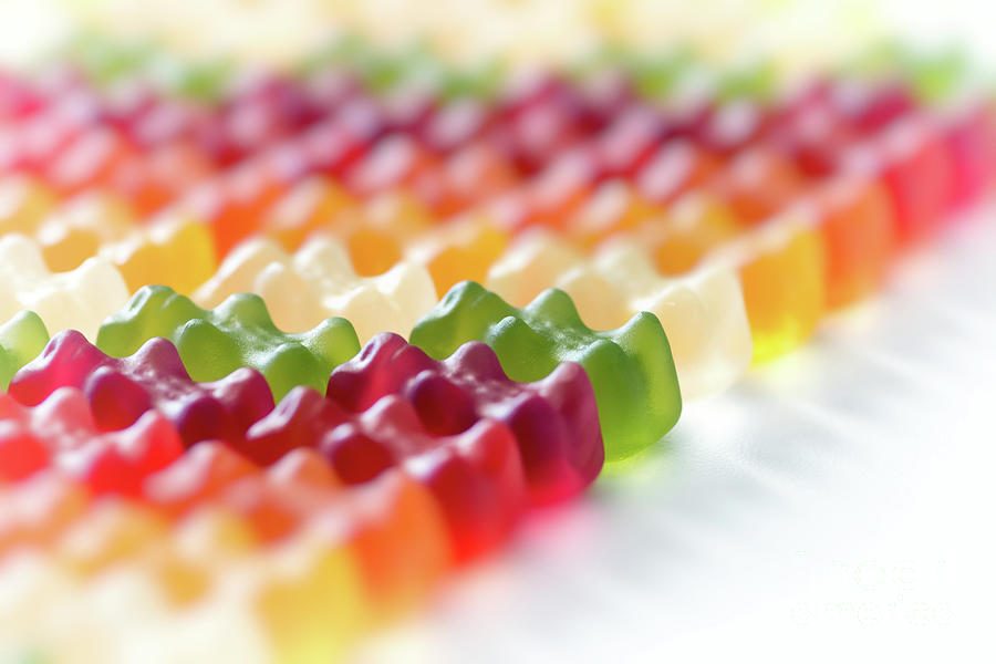 Candy Photograph - Multi colored gummy bears candy in a row arrangement close-up by Gregory DUBUS