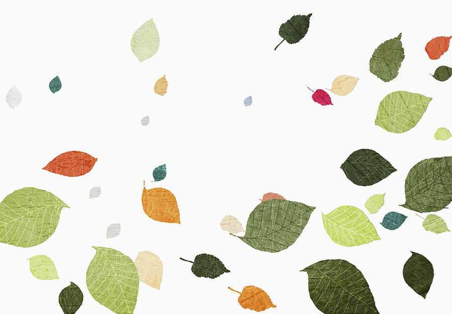 Multi colored leaves falling over white background Drawing by Jutta Kuss