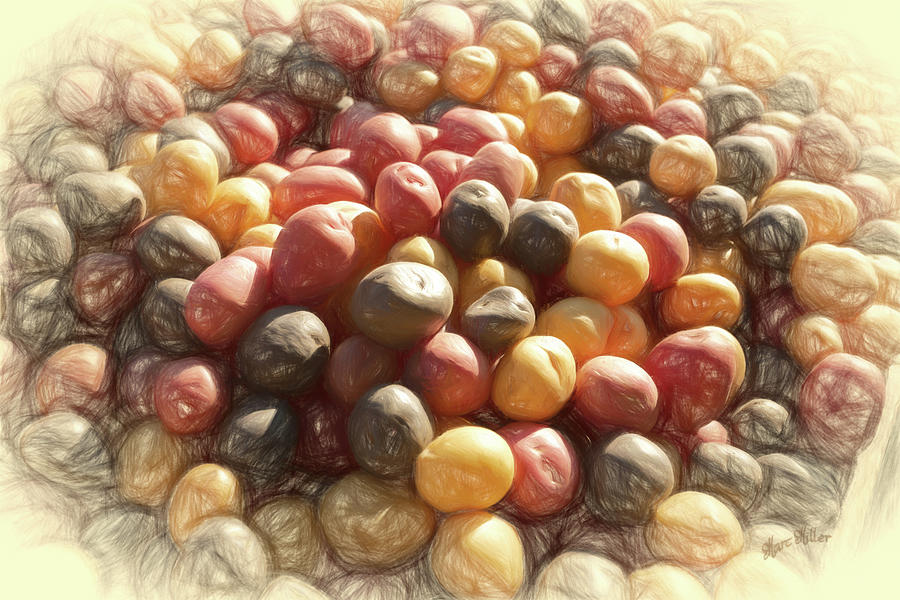 Multi-colored Potatoes In Sunlight Photograph