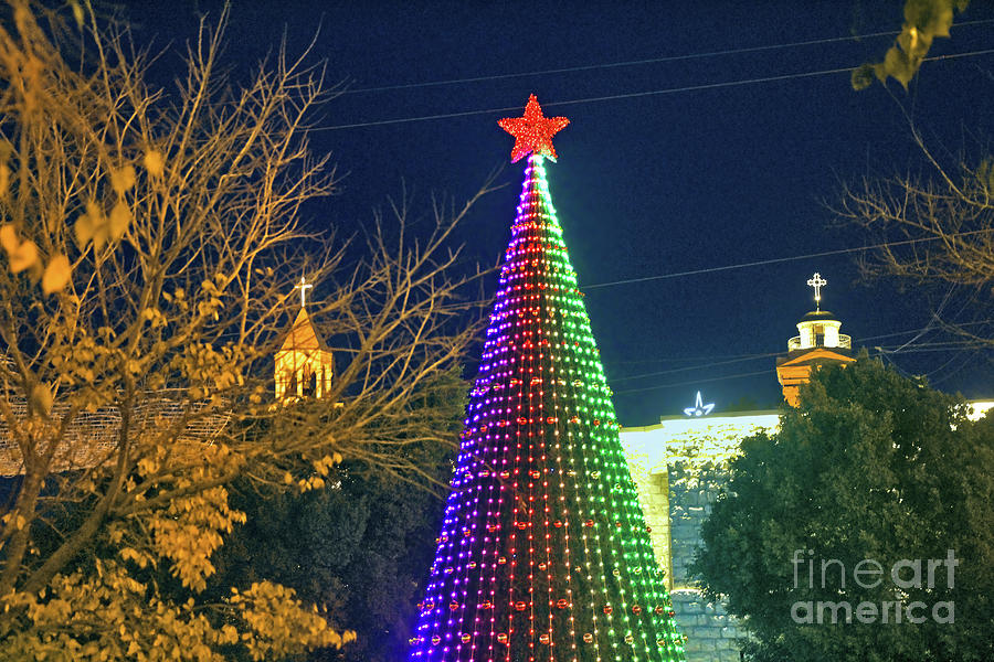 Multi Colors Christmas Tree Photograph by Munir Alawi