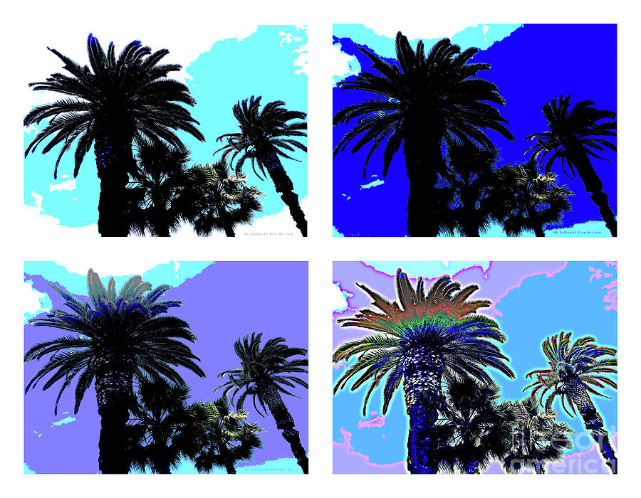 Landscape Digital Art - Multi-Palm Tree Tops by NL Galbraith