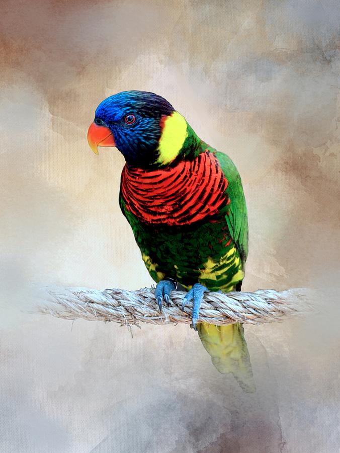 Multicolor Bird 87 Mixed Media by Lucie Dumas