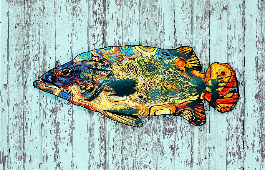 Multicolor Fish 2 Digital Art by Lucie Dumas