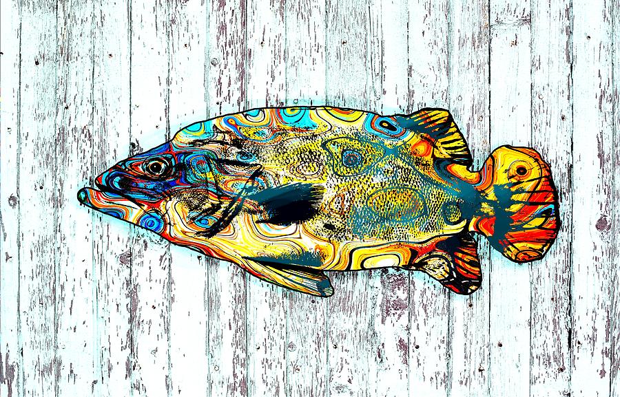 Multicolor Fish 3 Digital Art by Lucie Dumas