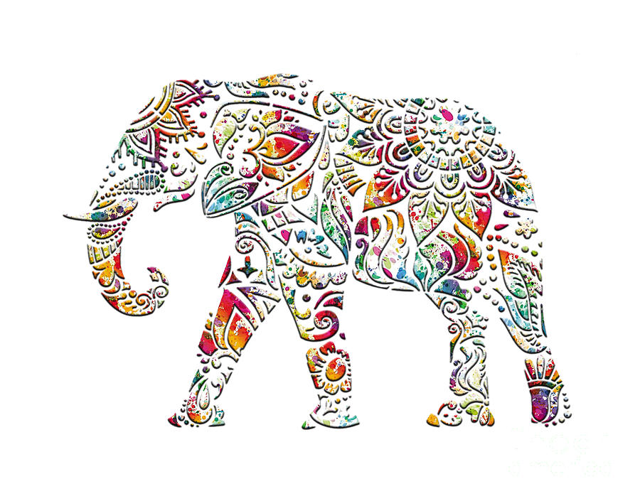 Multicolor Indian Elephant Mandala Style On White Background Digital Art by Fred Bertheas