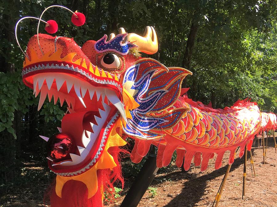 Multicolored Chinese dragon puppet Photograph by Paul Hamilton - Fine ...