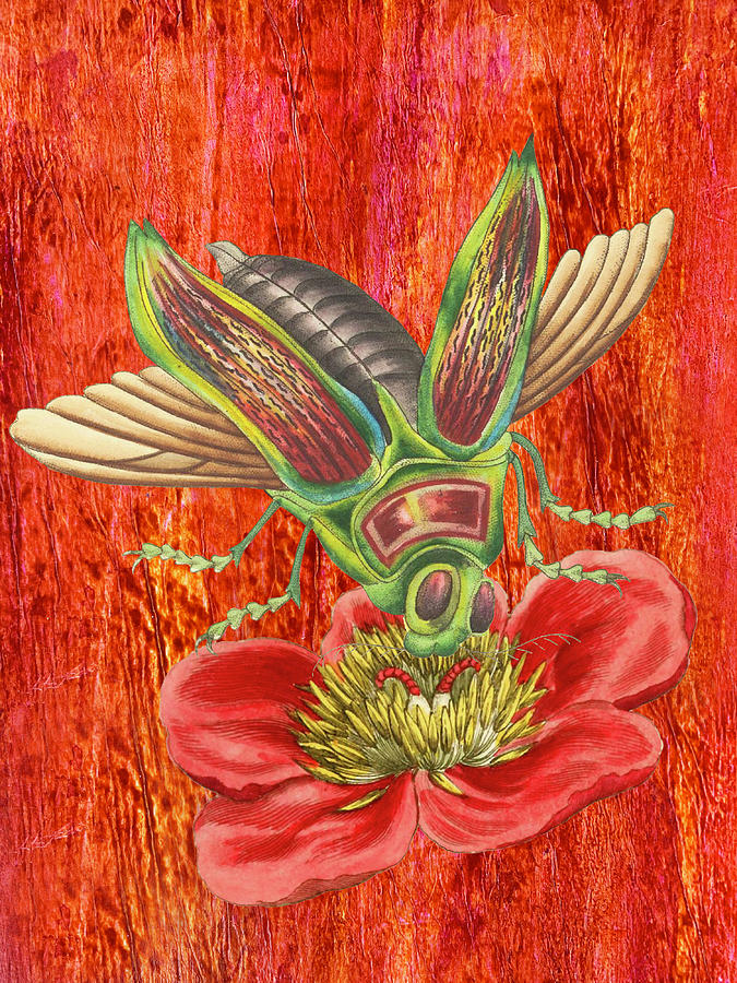 Multicolored Fly on a Red Flower Mixed Media by Lorena Cassady