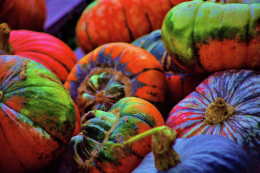 Multicolored Pumpkins Tight Photograph