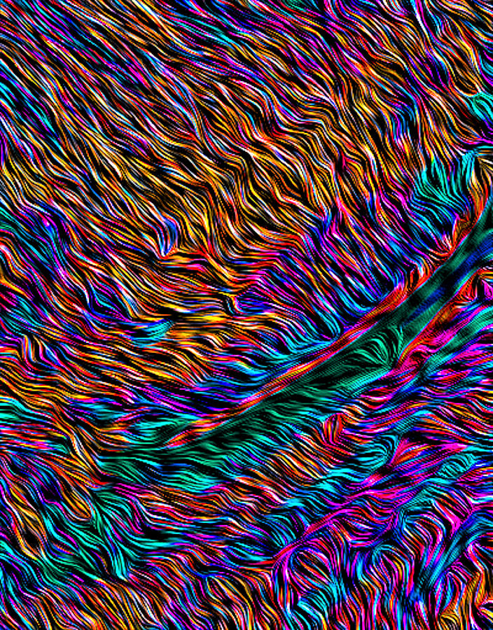 Multicolored Weave - Abstract Digital Art by Ronald Mills