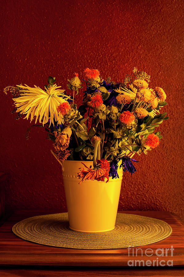 Multicolored Wilting Flowers Photograph by Jim Corwin