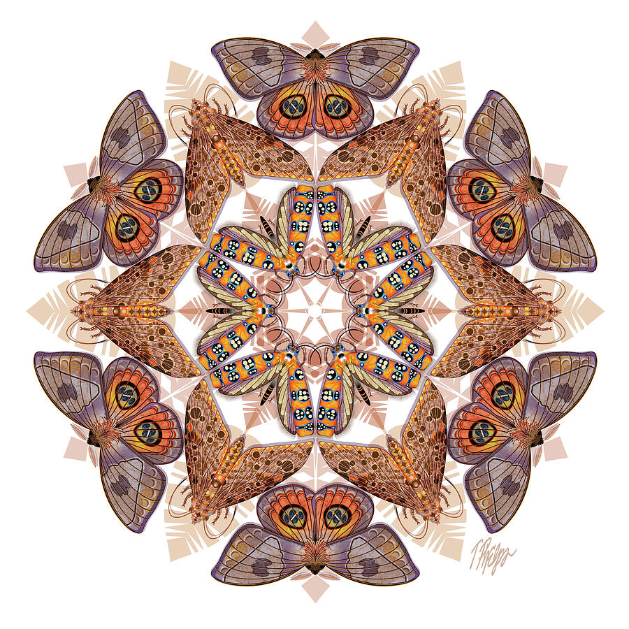 Multiple Moth Nature Mandala Digital Art by Tim Phelps - Fine Art America