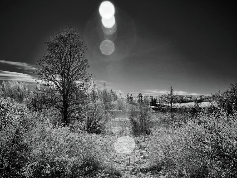 Multisuns. Infrared photography bw Photograph by Jouko Lehto