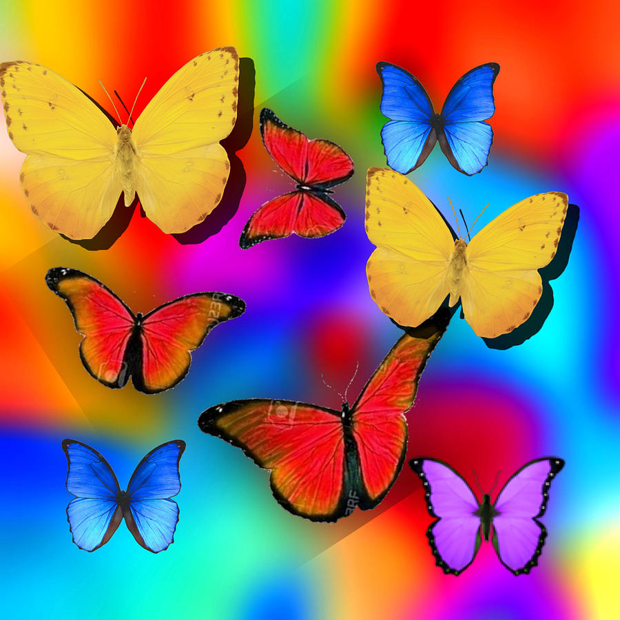  Multitude of Beautiful Butters Digital Art by Gayle Price Thomas