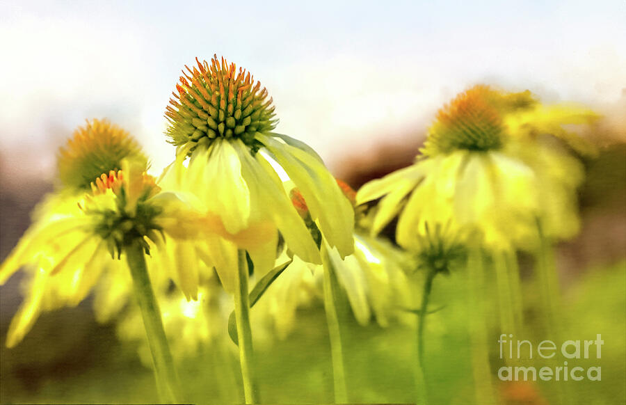 Multitudes Digital Art by Macro Abundance Art Multitudes Digital Art by Macro Abundance Art
